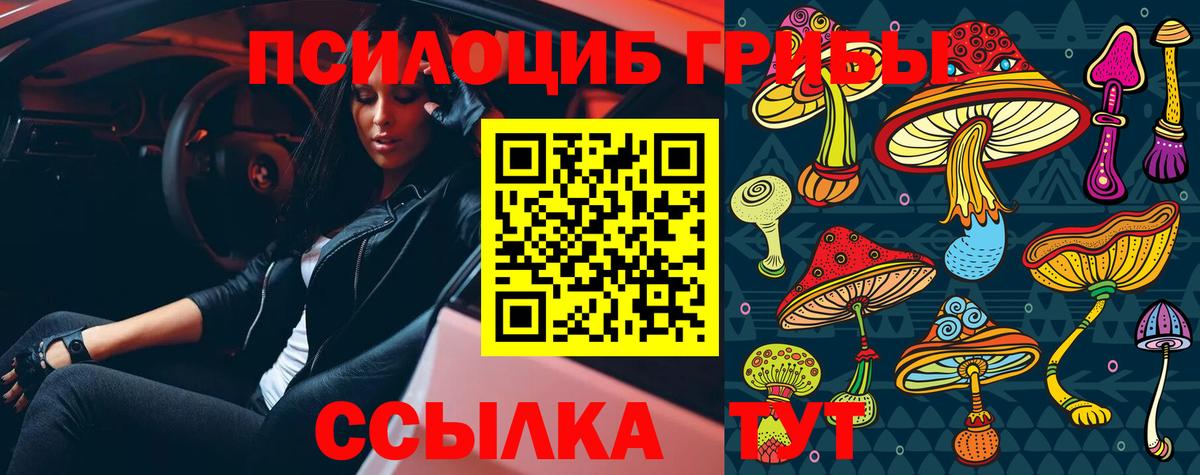 Псилоцибиновые грибы Magic Shrooms  где найти наркотики  Псилоцибиновые грибы MAGIC MUSHROOMS  Аша  Вход с VPN 