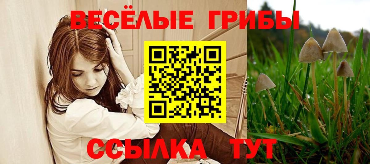 Галлюциногенные грибы прущие грибы Аша